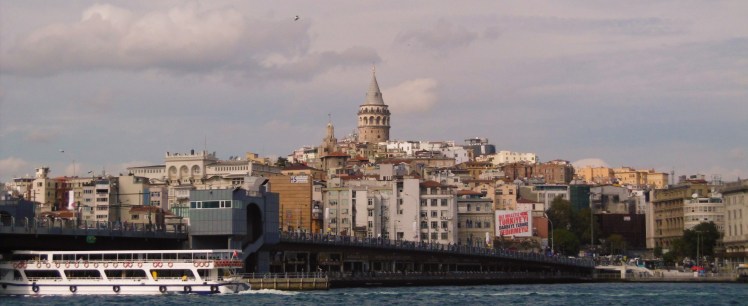 P1000678 (2)